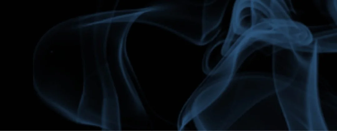 Living with The Wizard - Chapter 1